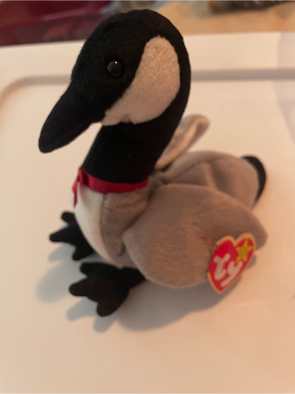 1998 Beanie baby Ty Plush Canada Goose - Gray and Black Small Pet Collectible